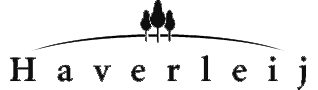 Dark logo