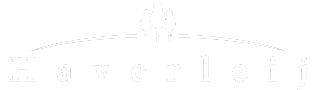 Light logo